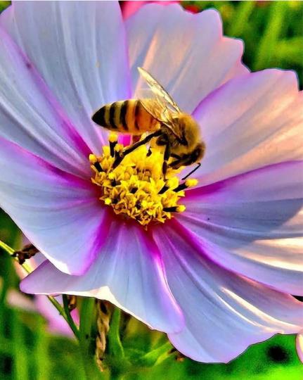 6400065E-C1B1-4903-B2FD-F39DAF561048-83052-00001FB275B8FC9B