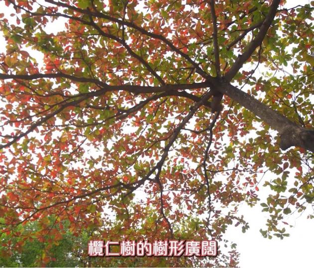 64D24ECD-EC5E-4909-803B-9DA6813F4A25-11056-0000012D043BD4AD