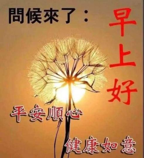 65C75B57-369B-462A-85E1-7864E85A413B-4846-000001F4E8C6C5BC