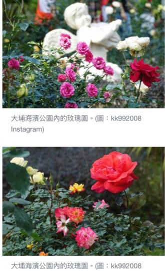 65CDD898-49B1-4327-A5C1-891F26B0D356-2800-0000017B2C0ADFEF