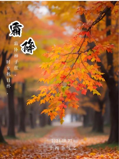 67123C89-B7E0-49CE-98E0-D79AADF8EF56-15917-000001A3E01368E8