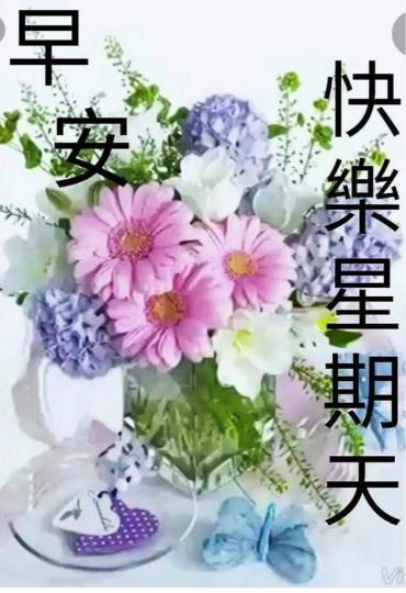 6914A1B8-C78E-4A5A-978A-C9BDDDF0E1AE-2347-0000007D58440E22