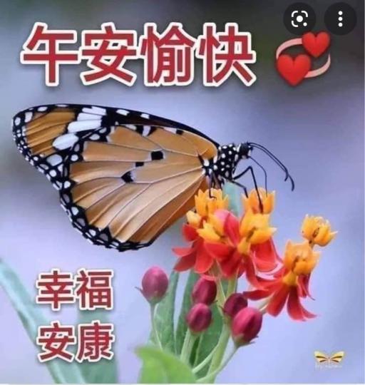 693936B7-2A20-4ADC-A4C5-4781540E9DB0-16156-000002B01C54F823