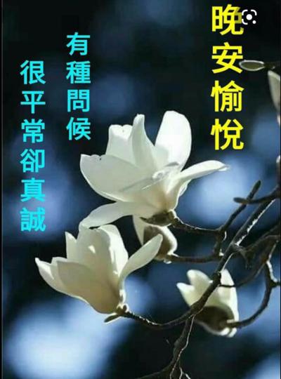 6986A2BD-B620-4960-B719-F612D9B449FD-4503-00000261C11EF430