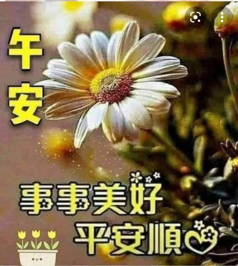 698F2635-E961-4F9B-ACAA-04AB31CF79E4-32174-0000056288963A92