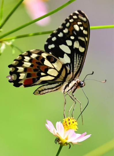 6B15DFD6-0BCB-4F77-A05F-9F4AA14E8C77-48905-000004B7050437DF