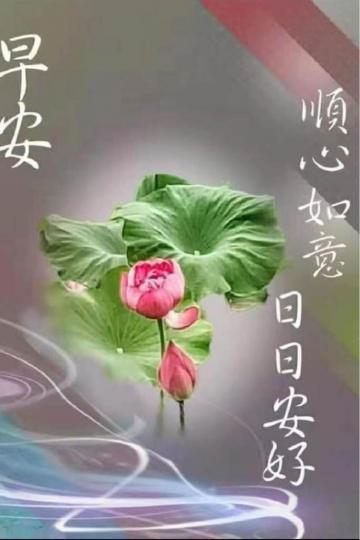 6B1FBA30-B39E-4814-873E-273E1FD1A8B6-12198-000002C89B4F9779