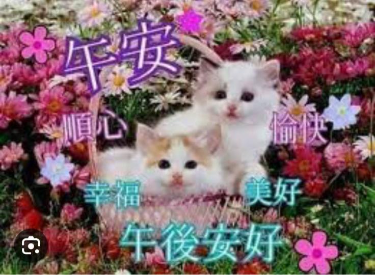 6B43D09E-B7EE-4B4F-9F61-5AAE41DE1658-70945-000007B0A3976F8E