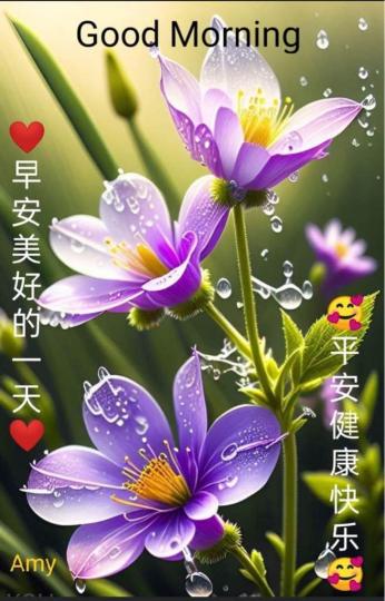 6BDC86EC-362B-482B-8A3B-814B23FF02BD-40033-0000044C62B40AA8