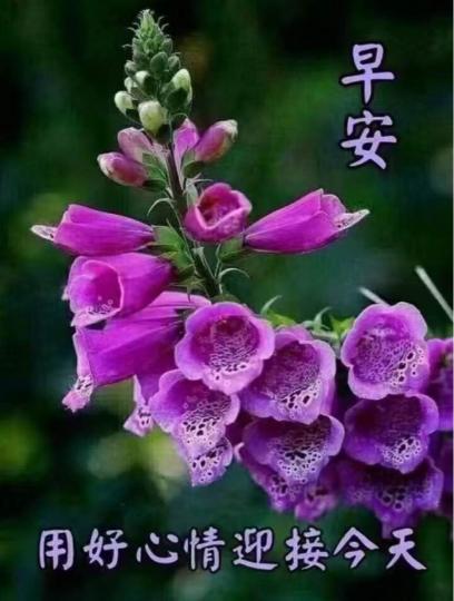 6CD9AE0C-C99B-4452-A4B0-FBFB5350571F-11506-00000154F3D95372