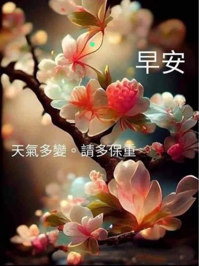 6D3056BD-7C91-496C-90E2-3FFC7E541AEF-50213-0000054FEA3FFE50