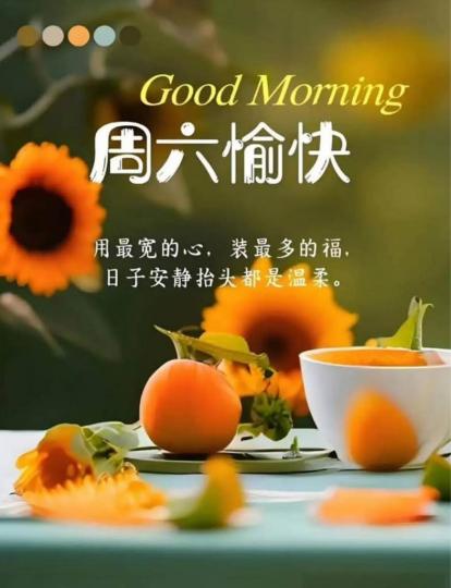 6DD50865-EA3A-4E7D-99C6-205148A13B58-49305-00000D60DB1A6E6D