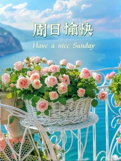 7000B1C9-022A-4E1E-9E65-6C0420979E10-38251-000003C10C595A4E