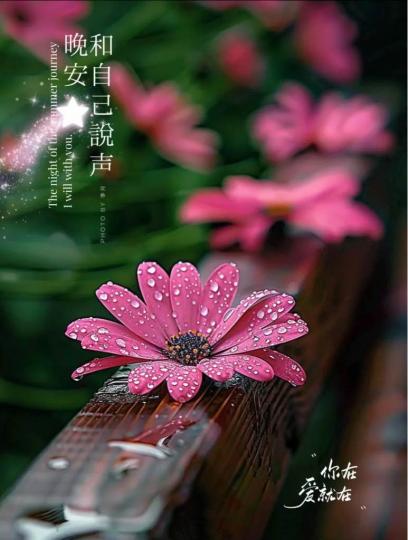 702AC5B1-87C0-45EB-8C50-884753FB49B1-5102-00001FA0C30733E7