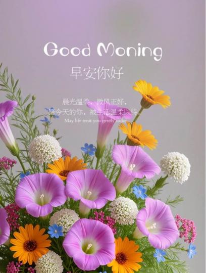 70716CB5-BA55-4E5D-AED4-2C19159F6BB1-47337-0000052BD95BF4E1