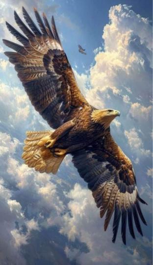 710E0C28-02EA-473A-AD9F-33A4B1302916-4113-0000008569F71722