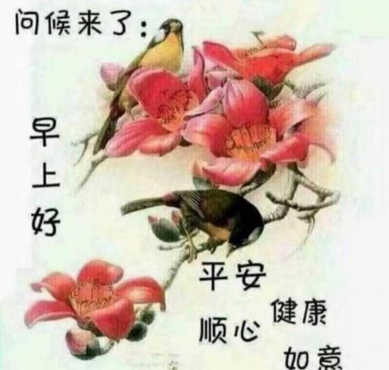 711CAEB9-2ED0-4DC6-9CCB-DD361A88686D-4905-000002FEC3C54253