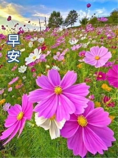 71B0E42D-B809-428F-95A1-157FF072F997-17638-000001F7D6083C5E