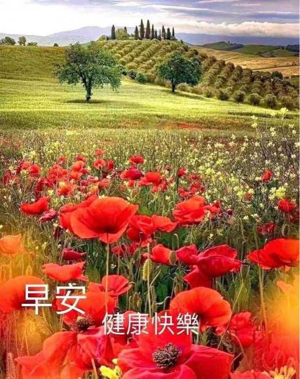723C9DCB-84FA-43A2-86FB-DF2948D39B3E-20647-00000236E26C7501