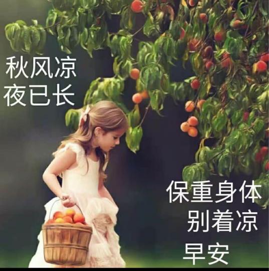 7281BB8B-3F06-47F9-AF87-5885BD121FD2-1783-000000E6C78BD4E7