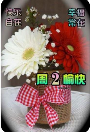 738C1A55-361F-464E-A037-892064DDAC0B-16348-000001D9C7BA759A