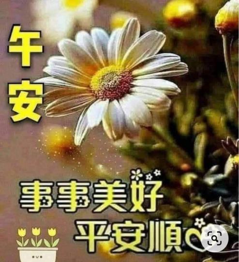 74634E2A-AAAC-465D-9E56-70C45F5C2B7F-26556-00000EAC9478CC01
