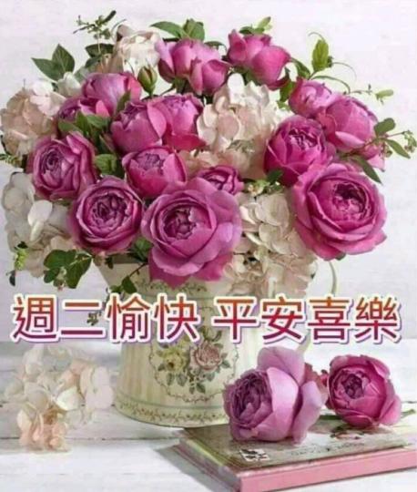 74A02BD4-B602-404D-B1BE-FFD137B850B1-24515-000002BCB9CD0524