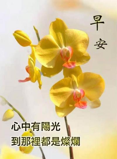 74B6D2F2-E059-4848-BB79-714AAE5D740A-28606-00000EEAEF4BA09D