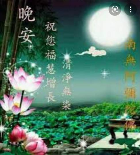 75B65A24-6B39-482A-9F4F-61AFCAA8A999-29085-0000050633E30E3C