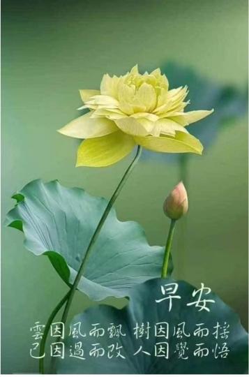 75E353DB-FAEE-4FD3-B7FA-EE3805DCFD06-644-0000001821AAA684