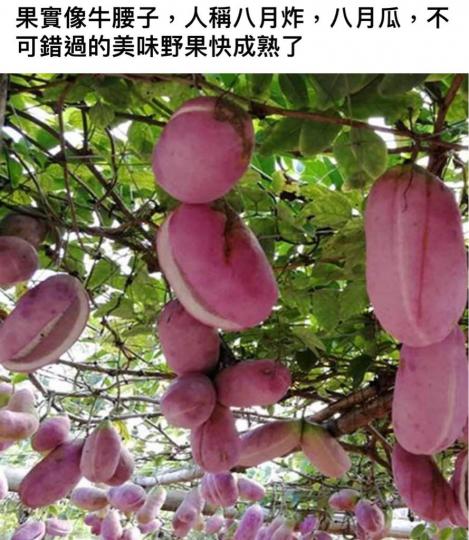767F0493-7EFD-4AE8-A437-FA1640FA16FD-70363-000007A01EE0E16B