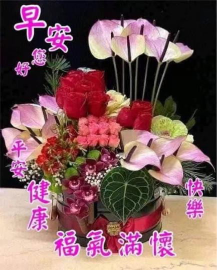 769724A1-B44D-474F-B4F4-8D3A1A8CB820-9542-0000012E1BC8DD62