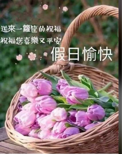 772E3EA8-8FAF-485A-81B2-D4C6F61E5BF1-88479-00001E3C5F4DDE86