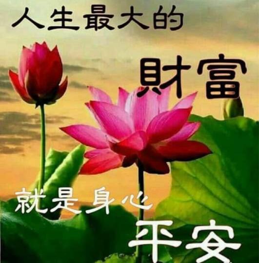 77A17BC0-E85A-4123-AC82-ED91F35B1003-28245-000017FC7D090428