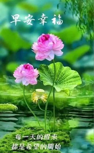 78596C4F-BC09-4D21-95F7-C7B991DED782-22279-00000286C905BEEB