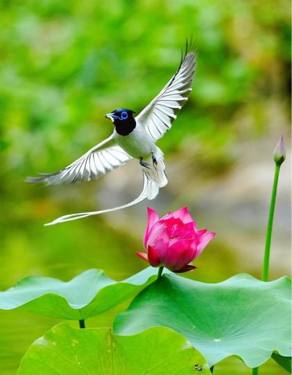 78A313AD-5279-4569-A195-CC7572843357-29292-00000E8CDCD71C7C
