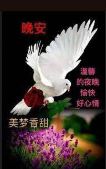 790F3833-018E-4E3F-B9D9-0CFC56ADA0CE-1994-000000E61DC7D486