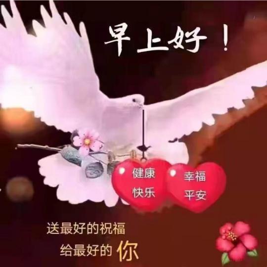 7993BD25-8A86-415E-B861-78F8A24B4E09-8006-0000044F3B94D9B2