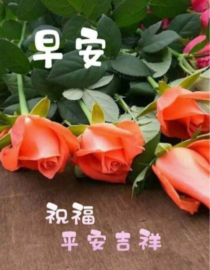 79BD25E5-0619-485F-A5EA-BA6B00584614-3165-000001D582DB328D