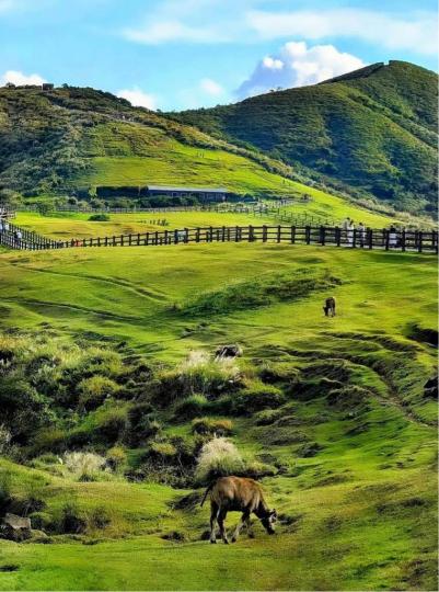 7A4E6268-FFD3-46F9-9363-E0325B55E93B-35404-0000038D4115D02F