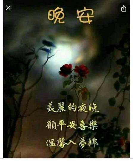 7A631A30-6FE0-4FA6-B060-BF23F36FA5D7-8473-00000423DCD0C5AD