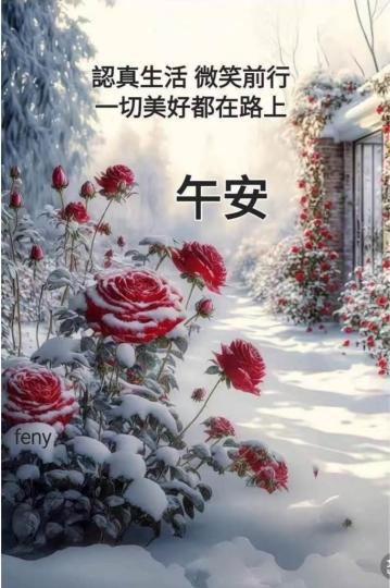 7A929007-95CF-4F15-A2F0-6A11E14DBE03-9226-000001556E55312C