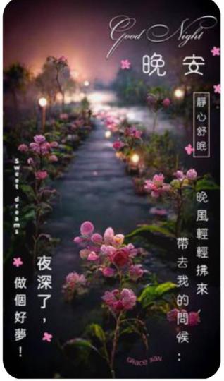 7BBF884E-E7F8-4DC6-804C-FB204C01ADAA-14822-0000019FD0B1C00B