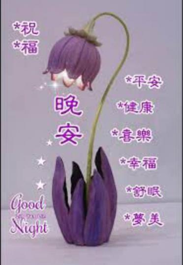 7CD7A646-F1A1-4433-A8E2-D30FDD562616-41195-0000047DA77D183D