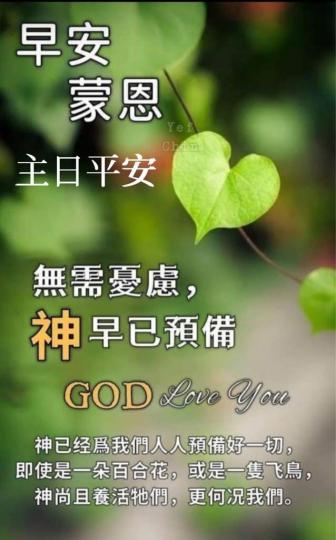 7D3E2441-2A78-477F-BEDB-97C2ACBDEBD2-25542-000014DA57996062
