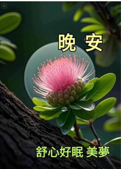 7D8F63A1-FC91-4A80-A765-C9AAB1360B55-4582-000000A4A469C96B