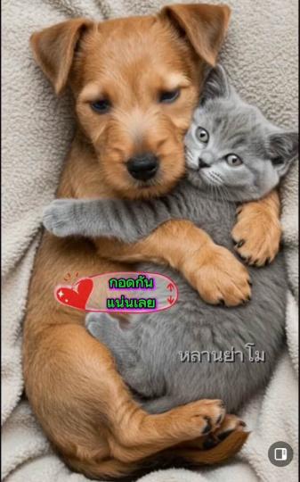 7DCBE850-19C1-4623-9644-1A09D75DE2BD-16735-000001F867E781DC