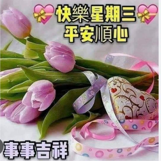 7E53D359-E129-42B6-9C43-4BBF2C7908DF-82240-000008D64DCA0613