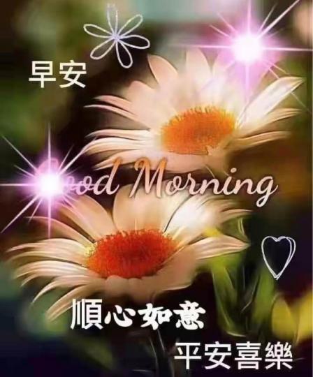 7E5CF980-A7FD-46A8-8D60-C7A6F91F8638-17454-0000037389BF39A2