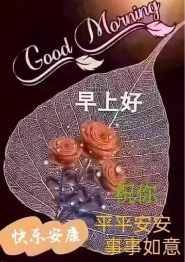 7EFFFC71-763D-41B9-982A-7DD8C7006E31-30746-00000489CE234F82